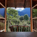 Aura *